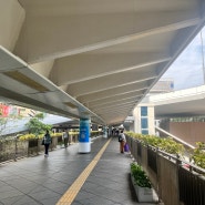 페리 타고 홍콩에서 마카오로 (홍콩 페리 터미널 - 마카오 외향 터미널, 터보젯 이용) / 그랜드 리스보아 호텔 셔틀
