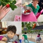 아이와 실내활동 추천 :: 성연딸기농장 / 구산정 청국장집