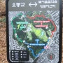 북서울꿈의숲/남산공원( 2024년 3월 12일 )