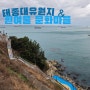 부산 태종대, 다누비 열차, 부산 여행 시리즈 4탄
