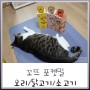 ★ 강아지캔 강아지 특식 고양이캔 고양이 특식 꼬뜨 포켓밀 급여후기