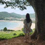 남해가볼만한곳 [상주은모래비치]인생샷포토존 오션뷰핫플