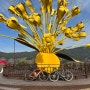구례 산수유마을 자전거 라이딩 코스파일&정보 곡성기차마을맛집 청이네수제돈까스