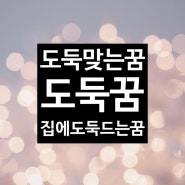 도둑꿈 도둑맞는꿈 집에도둑드는꿈 도둑꿈해몽