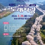 구례 300리 벚꽃길 KBS 전국 노래자랑 구례군편 초대가수 구례 산수유테마공원 시목지에서 산수유나무 보고 가세요