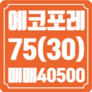 대전에코포레 75타입(30평형) 105동 고층 4호라인 매매 40500만원 고층 주인거주