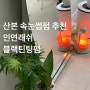 산본 속눈썹펌 맛집 인연래쉬 블랙틴팅펌 솔직후기 (위치/가격/컬)