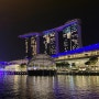 싱가포르 리버크루즈 시간 예약 싱가폴 야경