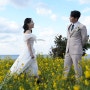 [결혼준비] 무드보드제주, 웨딩촬영 후기, 3월 제주웨딩스냅, 유채꽃 웨딩스냅