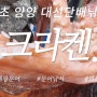 인생고기 동해 문어낚시 계절 입니다 3월 4월 강원도 여행지 추천 속초 양양 피문어낚시 동해안 대왕문어낚시 시즌