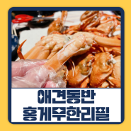 경기도 광주 맛집 능평동 썬크랩 홍게무한리필 실내애견동반