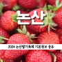 2024 논산 딸기축제 기본정보 아이와 가볼만한곳 행사 주차장 공유