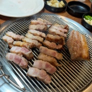 [ 경남 산청 / 생초 ] '육향풍미 715' 뽕잎 흑돼지 삼겹살 맛집
