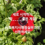 '사회복지행정실무자'교육과정, 수료하면 사회복지사로 취업할 수 있나요?