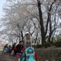 서울 어린이대공원 벚꽃놀이 (ft.아이와 벚꽃구경)