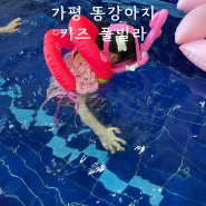 똥강아지 키즈풀빌라 가평키즈펜션 아기상어룸 숙박후기