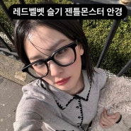 레드벨벳 슬기 안경, 젠틀 몬스터와 메종 마르지엘라 콜라보