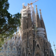 스페인 바르셀로나 사그라다 파밀리아 성당 입장하기(온라인 티켓 구매)