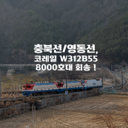 [Railway Story] 한국철도공사 우진산전 312B55편성 갑종과 영동선 8000호대 전기기관차 회송촬영!