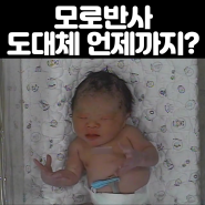 모로반사 도대체 언제까지?