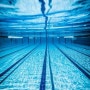 Swimming wins all(?)🫧