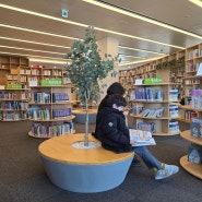 185. 아이와 조용히 독서하기 좋은곳. 대전 도룡동 과학도서관 (기초과학연구원 과학문화센터)