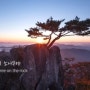 내 멋진 친구! [2년 전 오늘] 돌나라 CCM [석선시집] 바위 위의 소나무야 The Pine Tree on the Rock-#가스펠 석선시집 Praise