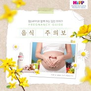 [힙코리아] 임신가이드 : 임신 초기 식욕 주의사항 조심해야 할 것, 임산부 피해야 할 음식과 좋은 음식💛