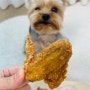 강아지 치킨뼈 먹으면 안되는 음식 닭뼈 먹었을때 증상 대처방법은?