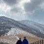 영남알프스 울산 간월재 겨울등산 눈꽃산행 ❄️ (24.3.3)