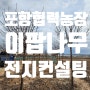 포항 조경수 협력농장 이팝나무 4년차 24년 전지 컨설팅