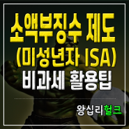 미성년자 ISA 제도(소액부징수 활용)