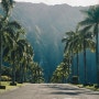 [정보요정] 올여름 아이들과 하와이로 떠나는 거 어떠세요?