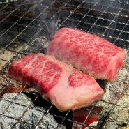 오사카 도톤보리 야끼니꾸 맛집 미야비 | 구글 예약 방법, 존맛도리 메뉴 추천