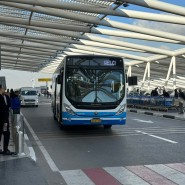 카이로 국제공항에서 국내선 터미널 가는 법 공항 무료셔틀버스