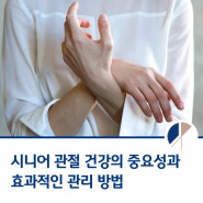 시니어 관절 건강의 중요성과 효과적인 관리 방법