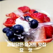홍천카페 디저트 과일담은 요거트맛집 요맛 홍천점 후기