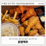울산 삼산 맛집 : 울산 삼산 치킨맛집, 삼산동 술집! '닭장맥주'