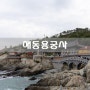부산 해동용궁사, 한국에서 가장 아름다운 사찰