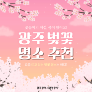 오매나가 추천하는 광주 벚꽃 명소 5곳 🌸 (feat. 놀이공원, 템플스테이)