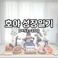 백일의 기적?(D+51~100) - 호야 성장일기