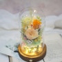 led 유리돔 꽃선물 프리저브드 결혼 1주년 선물 장미꽃 무드등