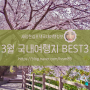 새침한김포댁 국내여행정보/ 3월 국내여행지 축제 BEST 3
