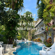 [2024년 3월] 태국 푸켓 여행: 푸켓 최고의 가성비 숙소는 무조건 여기로 예약하세요! 내돈내산 ‘나카 리조트(Naka Resort)’ - 가격, 룸컨디션, 수영장, 조식