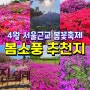 봄꽃 축제 진달래 벚꽃 철쭉 서울근교 봄소풍 추천