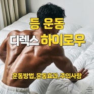 하이로우 머신 자세 및 효과 정확하게 알려드립니다