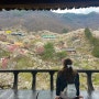3월 꽃축제 전남 광양 매화마을 개화 상황 주차장 포토존 정보🌸