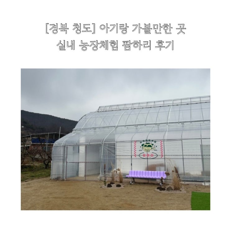 아이랑 가볼만한 곳 / 농장체험 카페 후기 / 실내 놀이터 팜하리