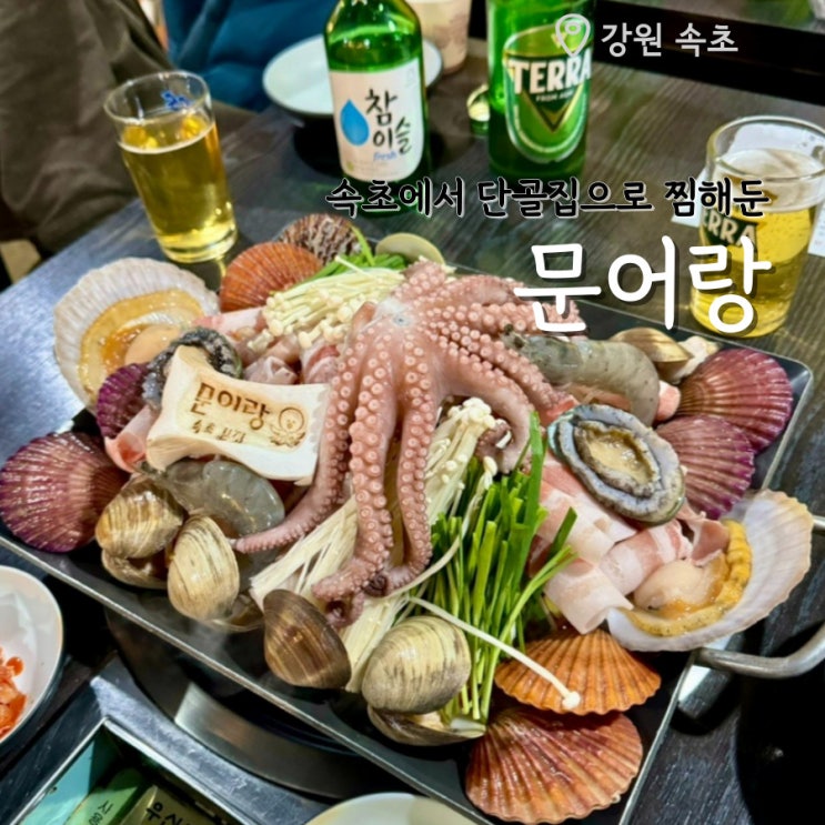 속초 맛집 문어삼합 먹고 반해서 단골집으로 찜해둔 문어랑 : 네이버 블로그