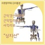 수원필라테스강사홍쌤(홍필라테스) - 근막경선해부학,근막경선필라테스 서적리뷰 "상지선"
